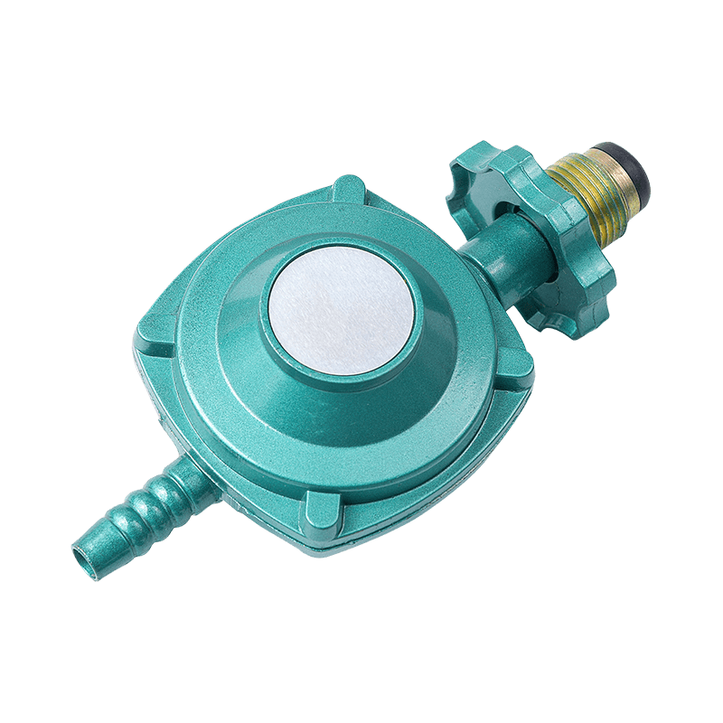 Gas Cooking Appliance Parts Gas Regulator for Kitchen